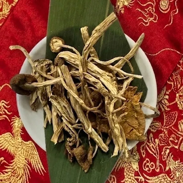 茶樹茸（ちゃじゅたけ）