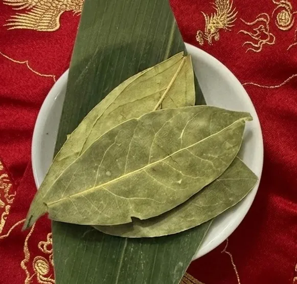 月桂樹（ローリエ）
