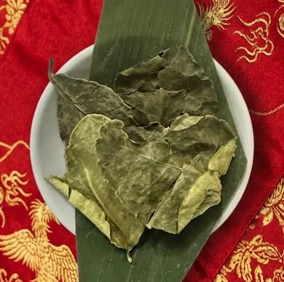 こぶみかんの葉（バイマックルー）